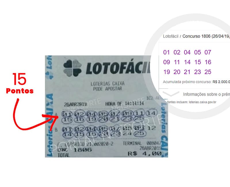 Quais são as chances de ganhar na Lotofácil? Confira